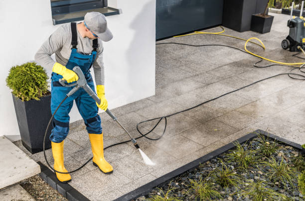 Best Exterior Home Cleaning  in Quincy, MI